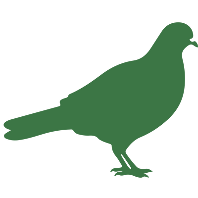 Répulsifs pour pigeons et oiseaux